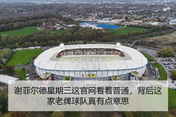 xie-fei-er-de-xing-qi-san-zhe-guan-wang-kan-zhe-pu-tong-bei-hou-zhe-jia-lao-pai-qiu-dui-zhen-you-dian-yi-si-1-196.jpg